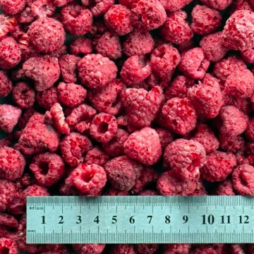 IQF Premium 15-20mm Freeze Dried Raspberries – Fresh, Natural & Ready ...