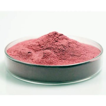 WholesaleFD Raspberry Powder – Direct Manufacturer Supply at Best Price