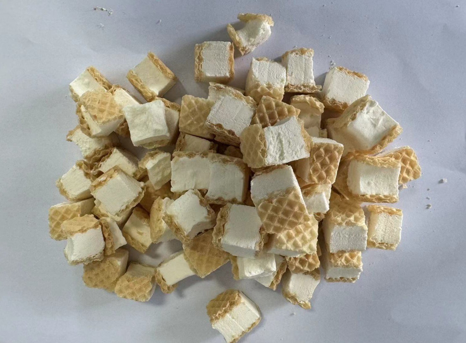 Wafer Freeze Dried Ice cream