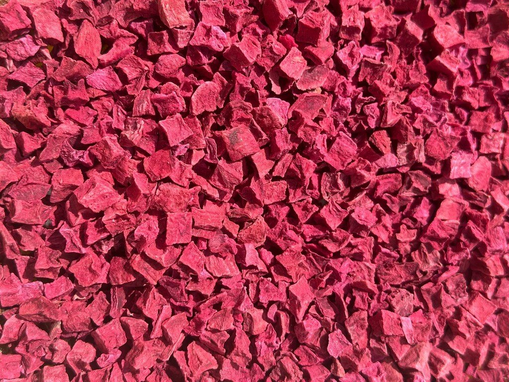 freeze dried beet OEM supplier