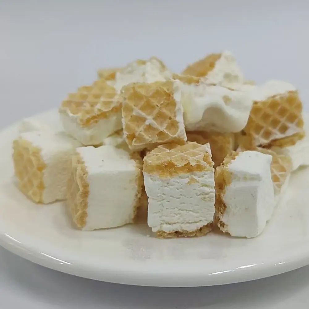 top freeze dried wafer Ice Cream brands wholesale